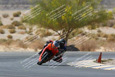 media/Apr-10-2022-SoCal Trackdays (Sun) [[f104b12566]]/Turn 5 Tree of Life (1040am)/